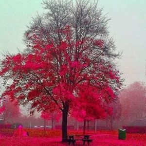 Meet your Posher, Uzma